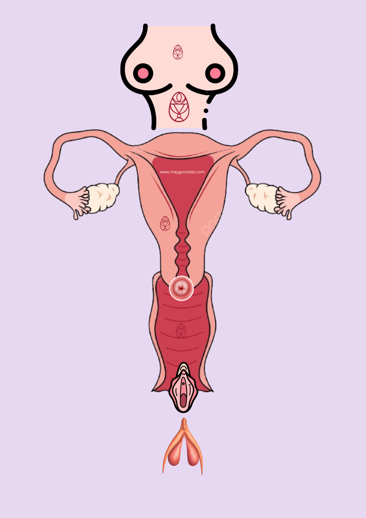 7 womb portals